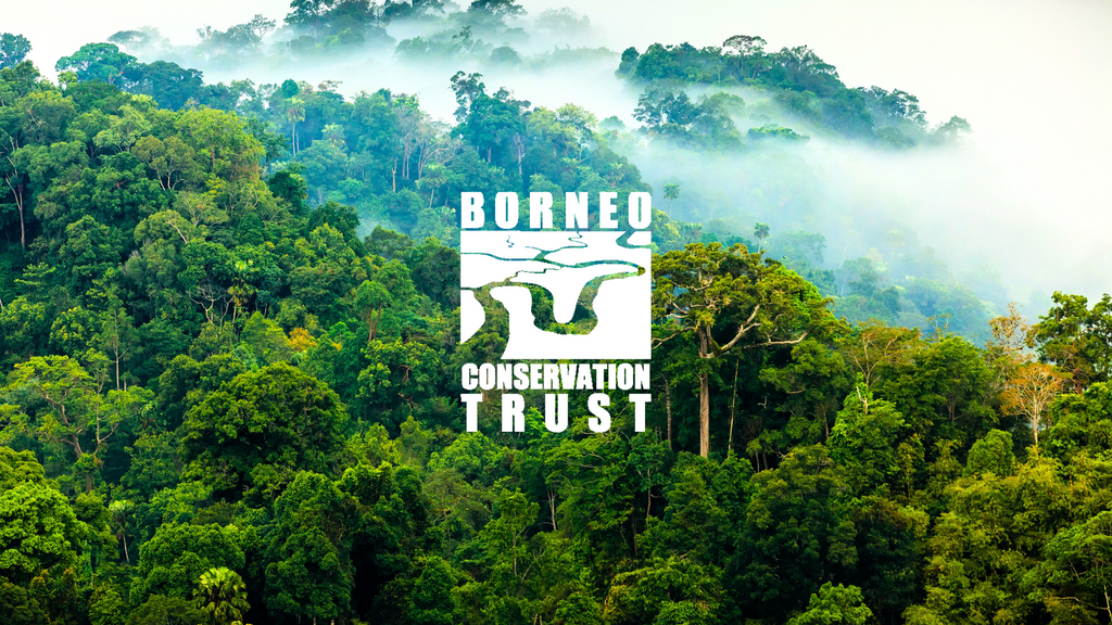 Borneo Conservation Trust